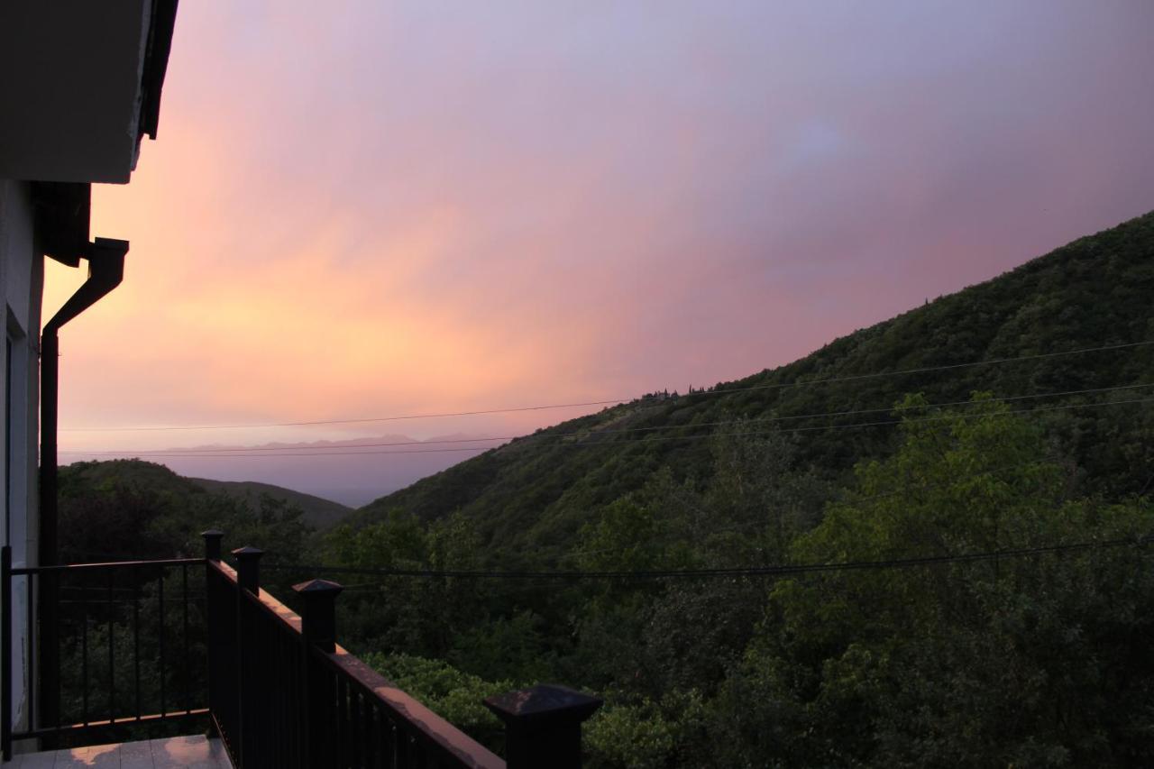 The Nature Sighnaghi Exterior foto